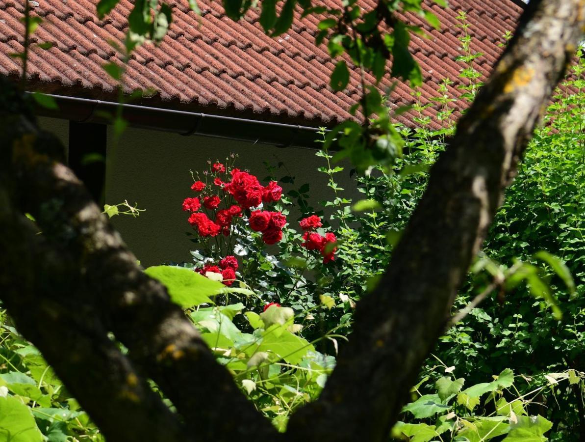 Apartments Marija Rakovica Kültér fotó